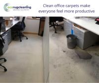 Eco Friendly Carpet Cleaning image 2